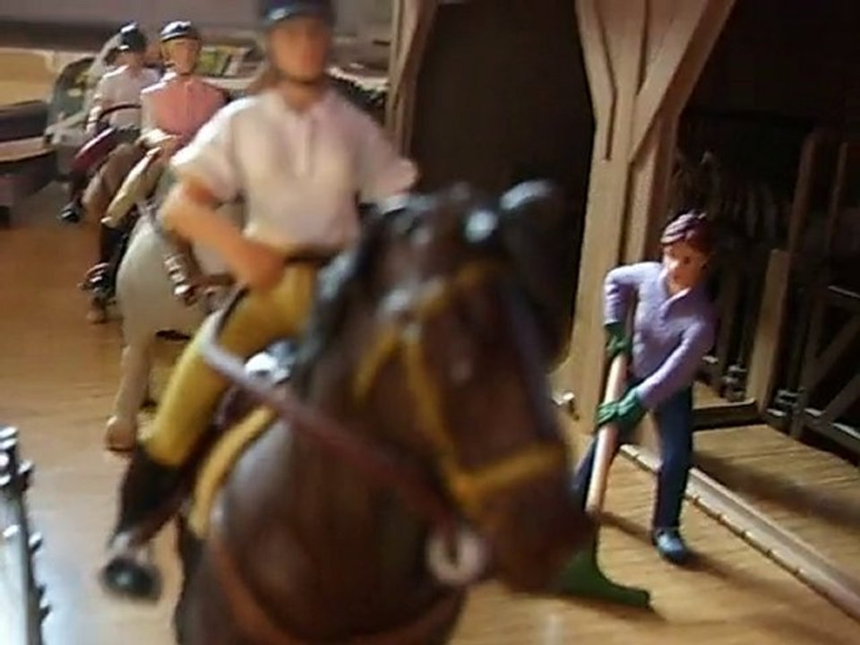 Présentation Schleich