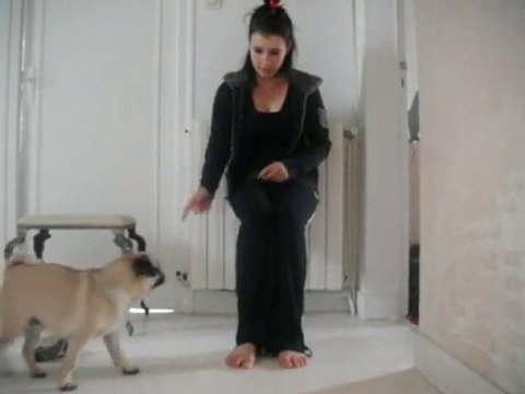 le saut dans les bras