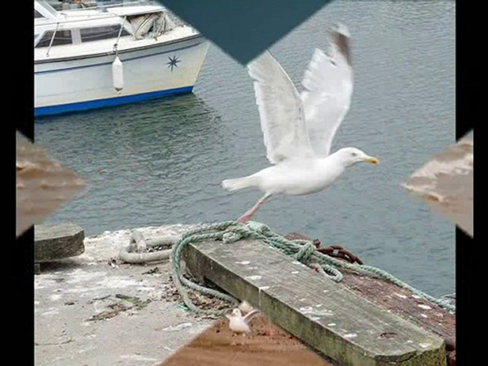 Quand on a que l'Amour