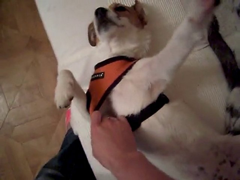 elfy tres fatiguée de cette balade