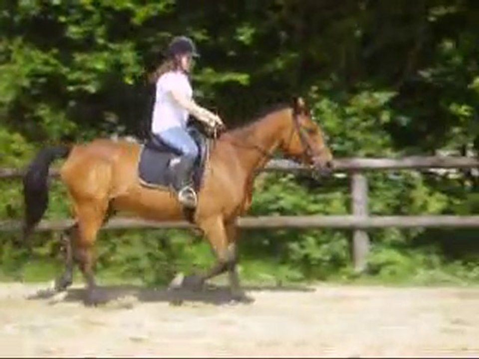 AmelieEtPerlani trot a droite