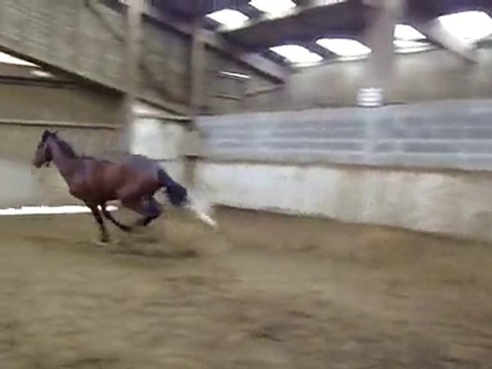 loulou qui se defoule