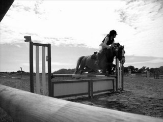 Les histoires ont toujours une fin .