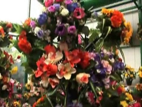 Vente et production de fleurs et plantes à Tournai (Hainaut)
