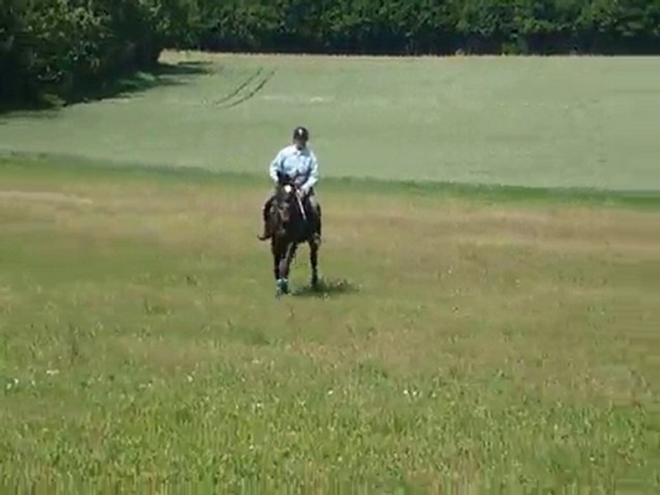 Véro et Stew au galop
