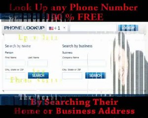 Phone Number Reverse Lookup