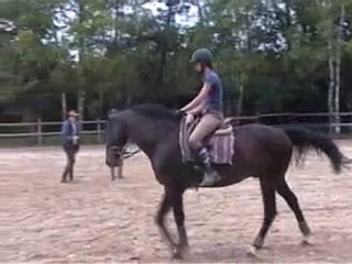 obéron révision avt 1er grd prix