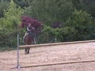 sire héros juin 2010