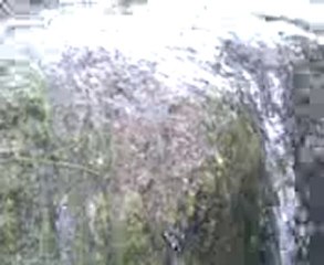 3anassare talilite bnioulchek nador