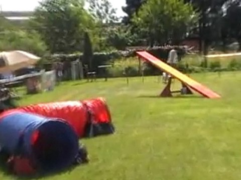 05 06 2010 Feschaux agility 2 - Tatal et Xéna