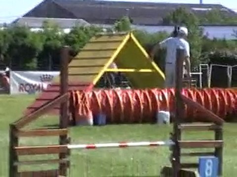 05 06 2010 Feschaux agility 3 - Tatal et Scarlett