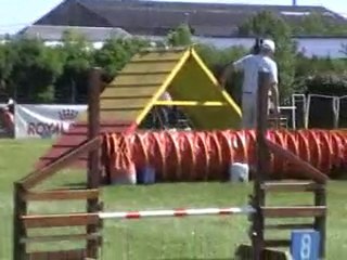 05 06 2010  Feschaux agility 3 - Tatal et Scarlett