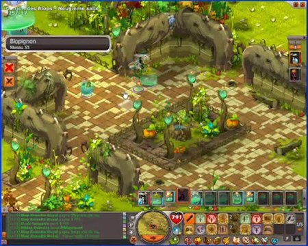 Solo du Blop Royal Reinette iop lvl 81