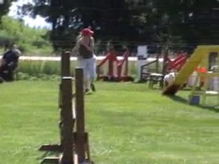 05 06 2010 Feschaux agility 4 - Sabrina et Tschoumi