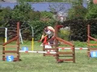 05 06 2010 Feschaux agility 11 - Tatal et Help