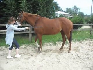 Nous continuerons Comme cela jusqu'a la fin des temps