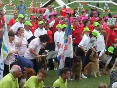 Défilé des régions 1 Championnat de france Annonay 2010