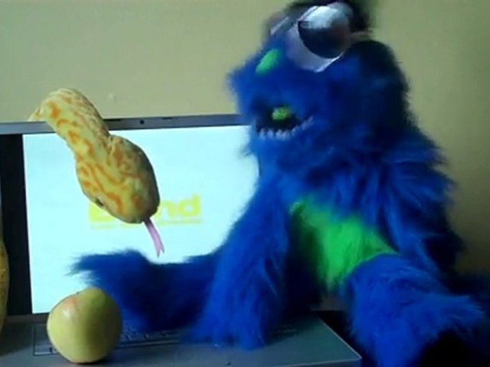 Geo Loco - My Competition Use Local Search Strategies!