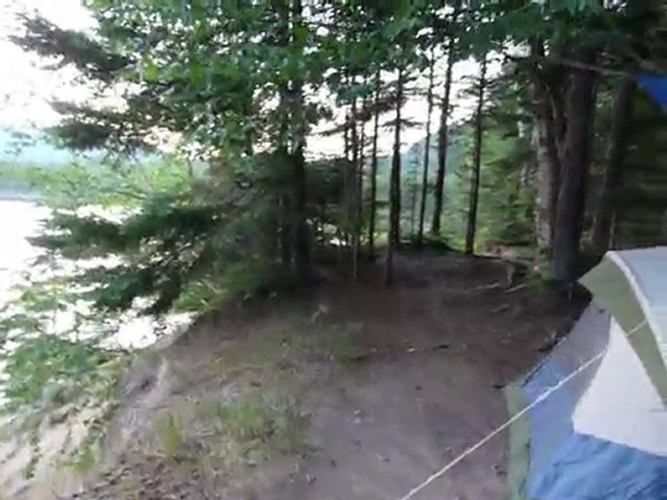 Attaque du raton part.2