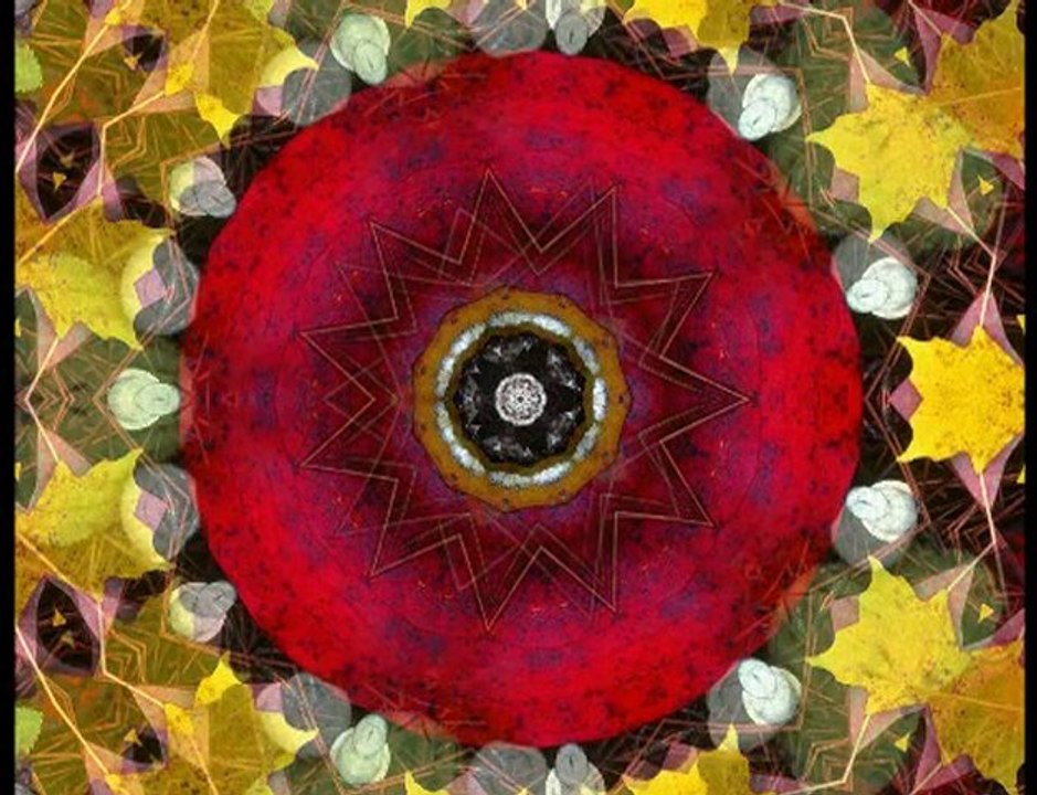 Délires de papier - Elisabet Just et  Luciane Lopes