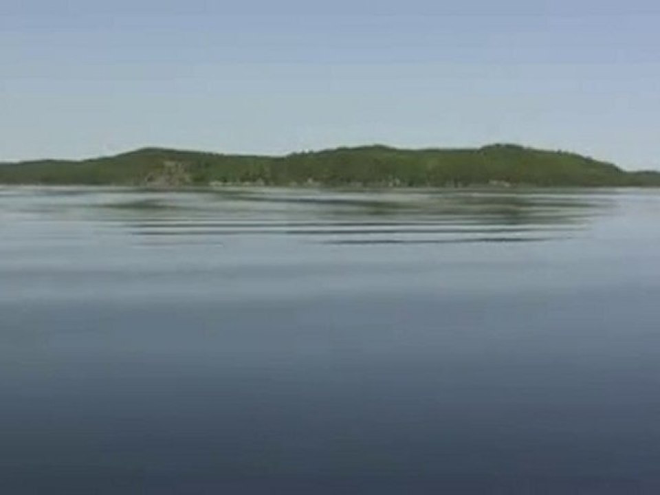 Calm Lake Forested Shore Vista