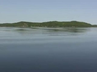 Calm Lake Forested Shore Vista