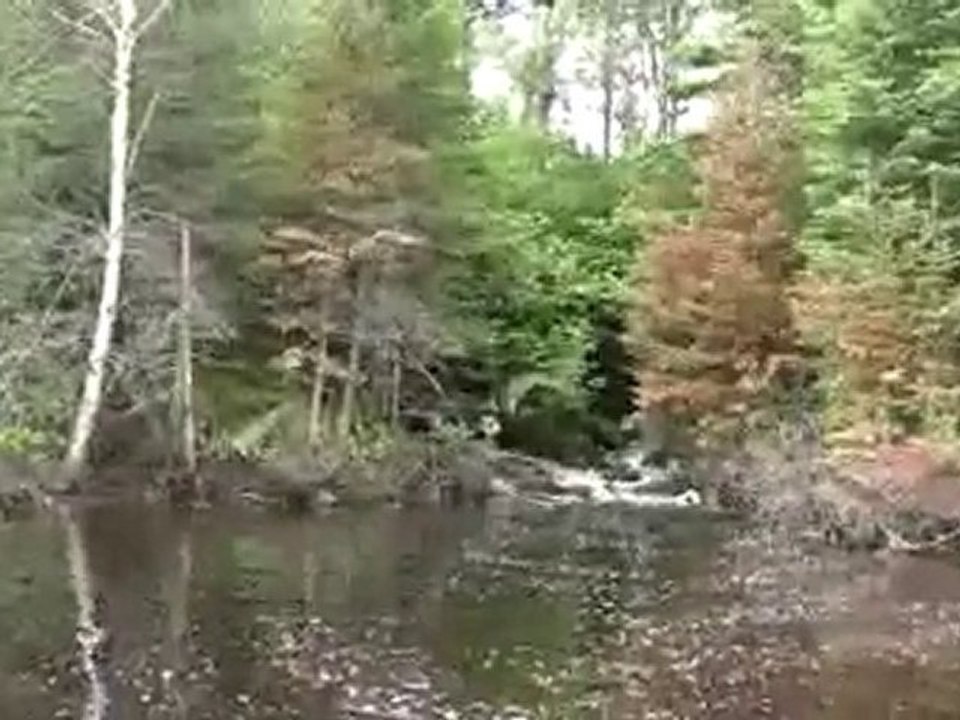 Hidden Shoreline Waterfall in the Forest