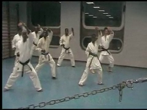 Ed la star Karate katas demo
