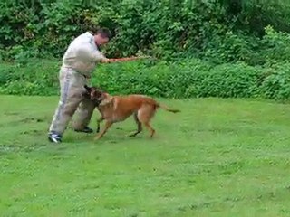 E'ho 13 mois Face sur Jérôme