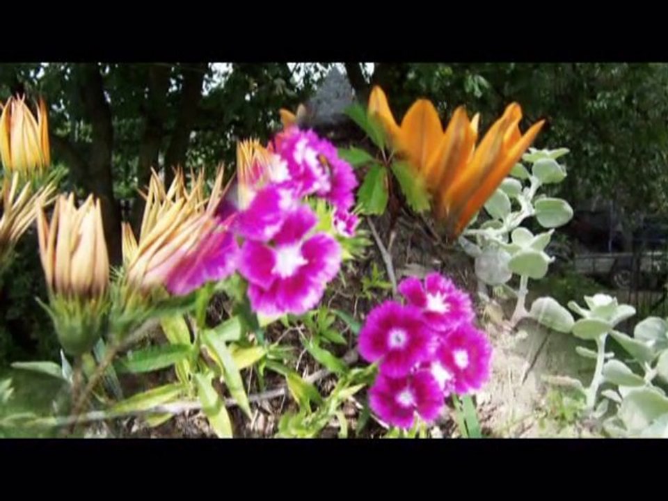 Znów kochać kwiaty-UNIVERSE-Ip love 13