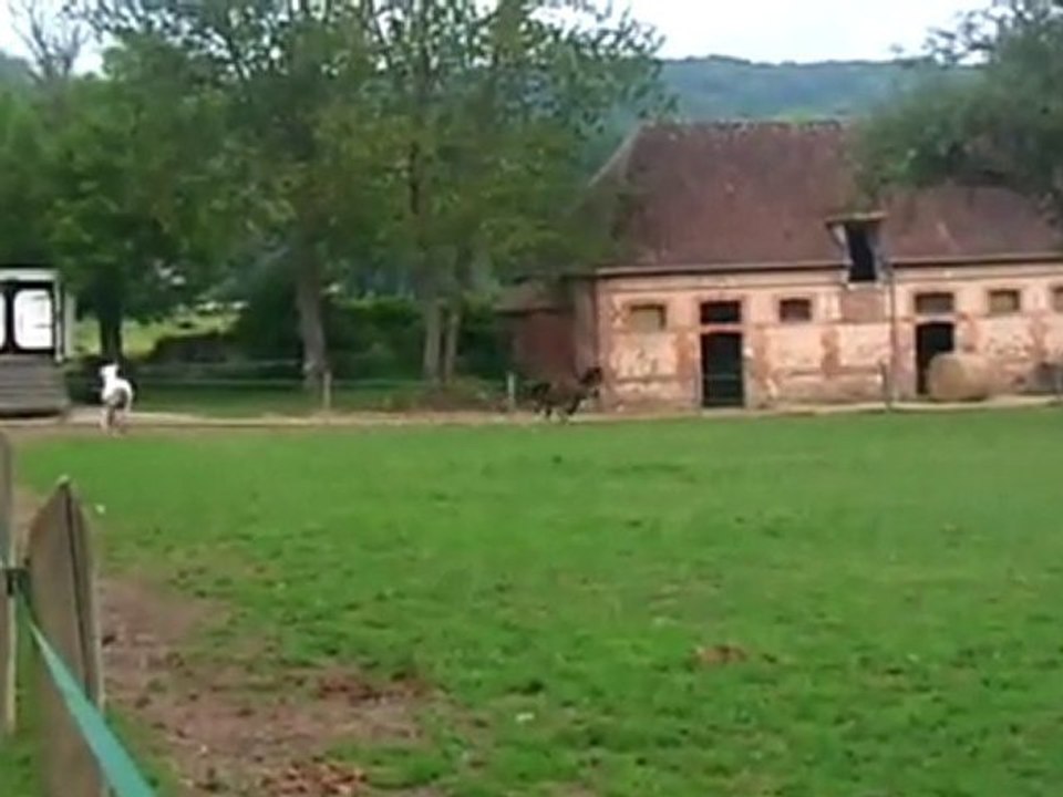 Mistic et Looping toujours aussi foufous