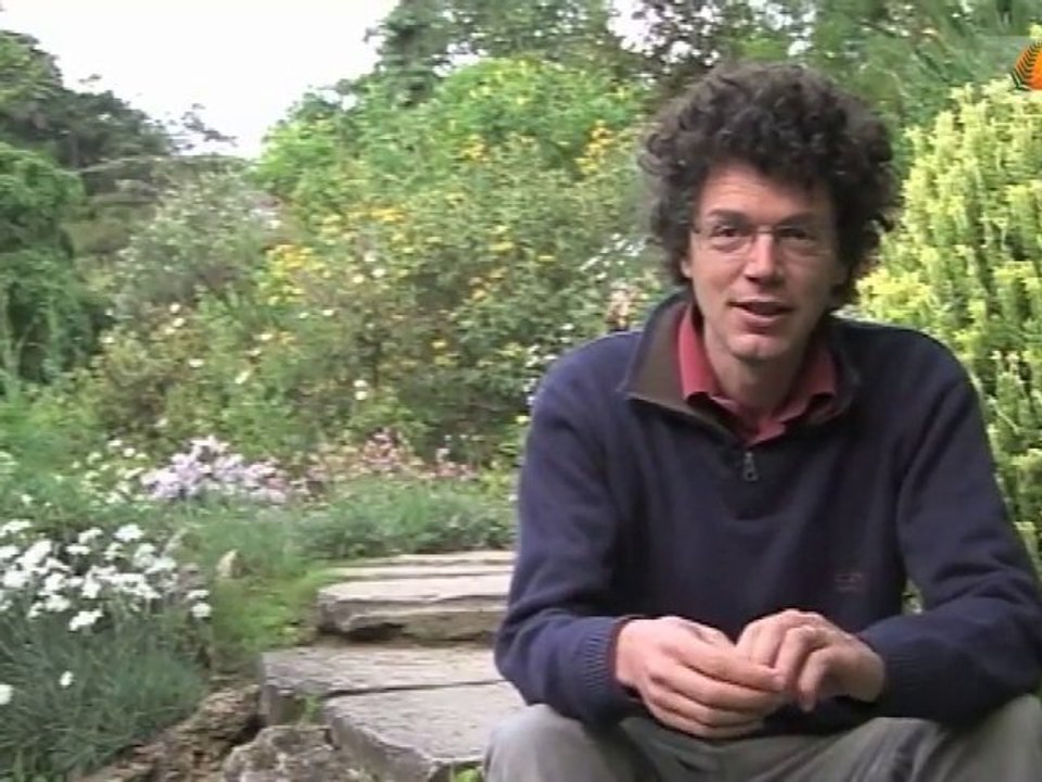 Observatoire des insectes pollinisateurs