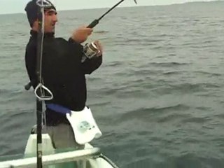 Phone- Jigging on Vimeo www.balikdostlari.com