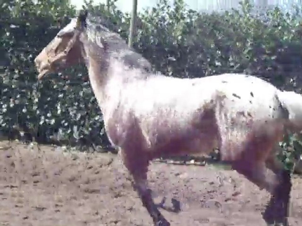 DSCF2147