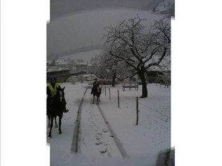 Sortie du 12 décembre 2009