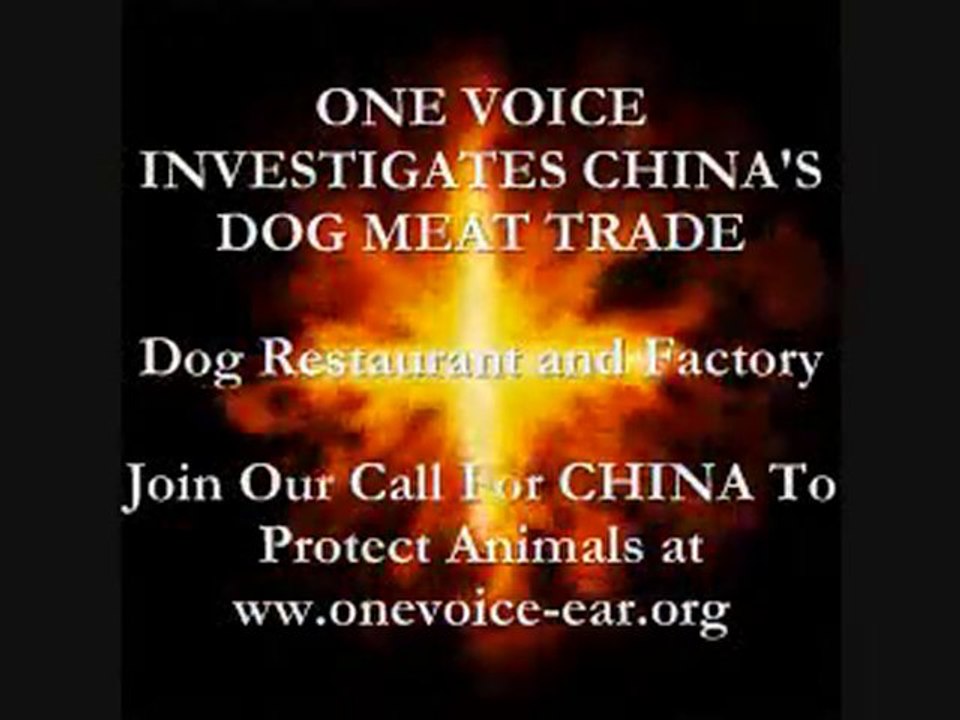 鬼畜支那人の日本移住を大歓迎する民主党