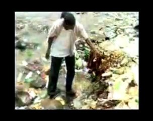 Laye Mansa - Plastic 🎶