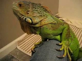 R10 Yoğun İstek :)