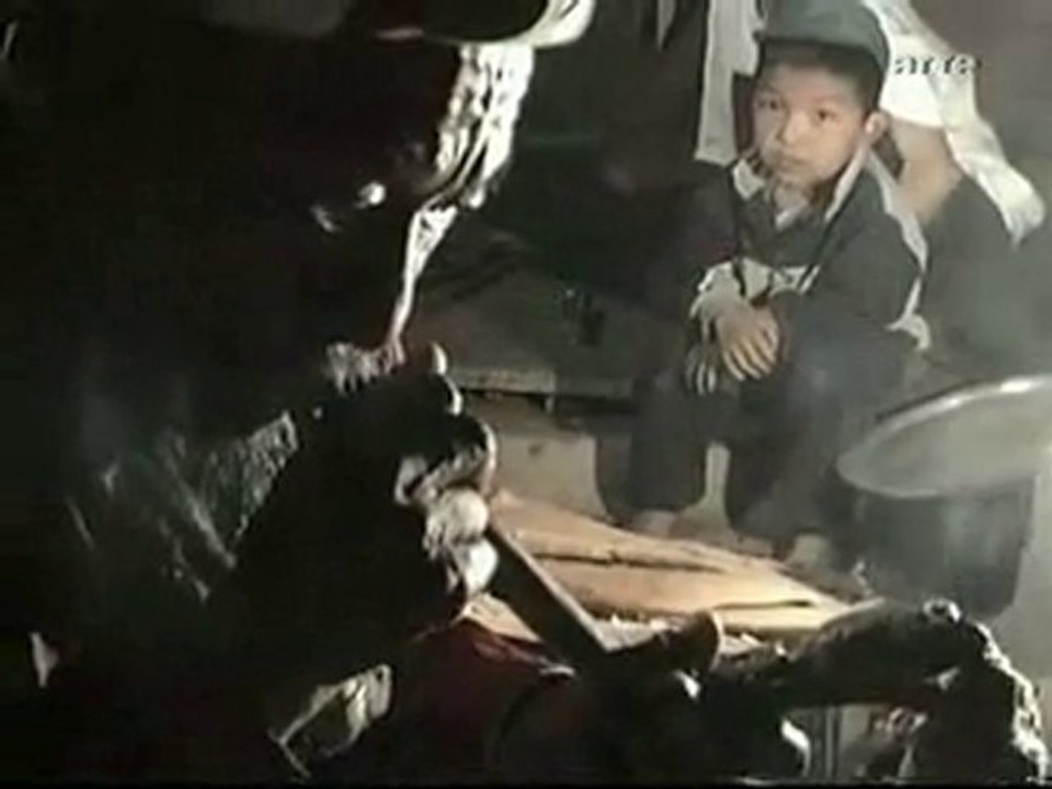 Les Champignons Hallucinogènes (Partie 4)