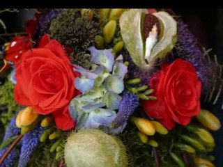 SLAVKO AVSENIK Slovenija od kod lepote tvoje