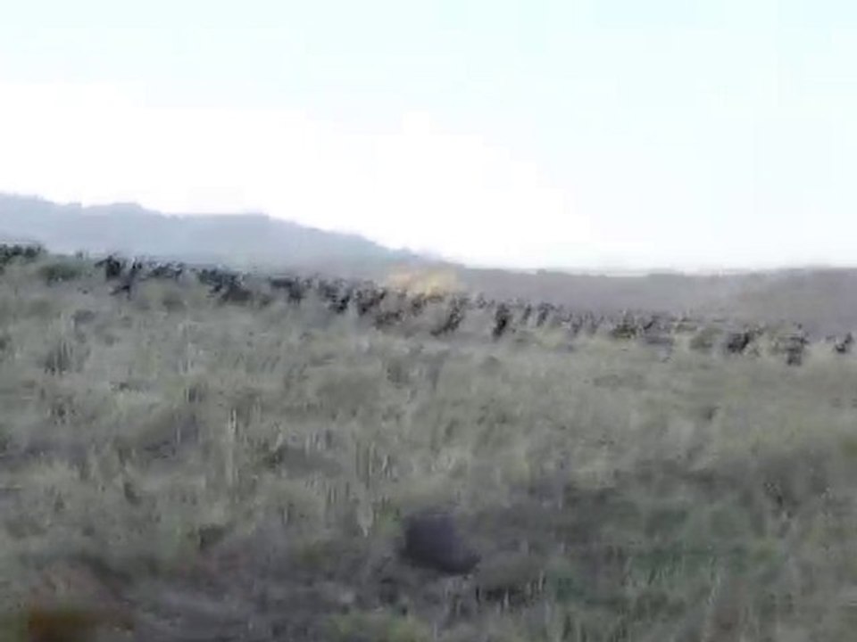 23.05.10 (23)