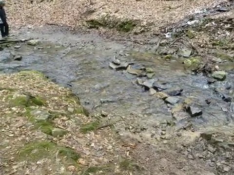 Diaporama de l'année 2010 - 4ème partie