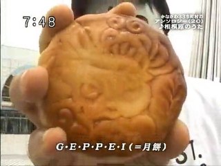 saku2 100601 3 かながわ33市町村のアンソロジー(20)(21)