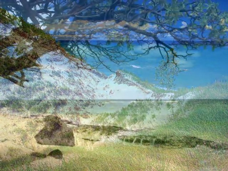 mer sea