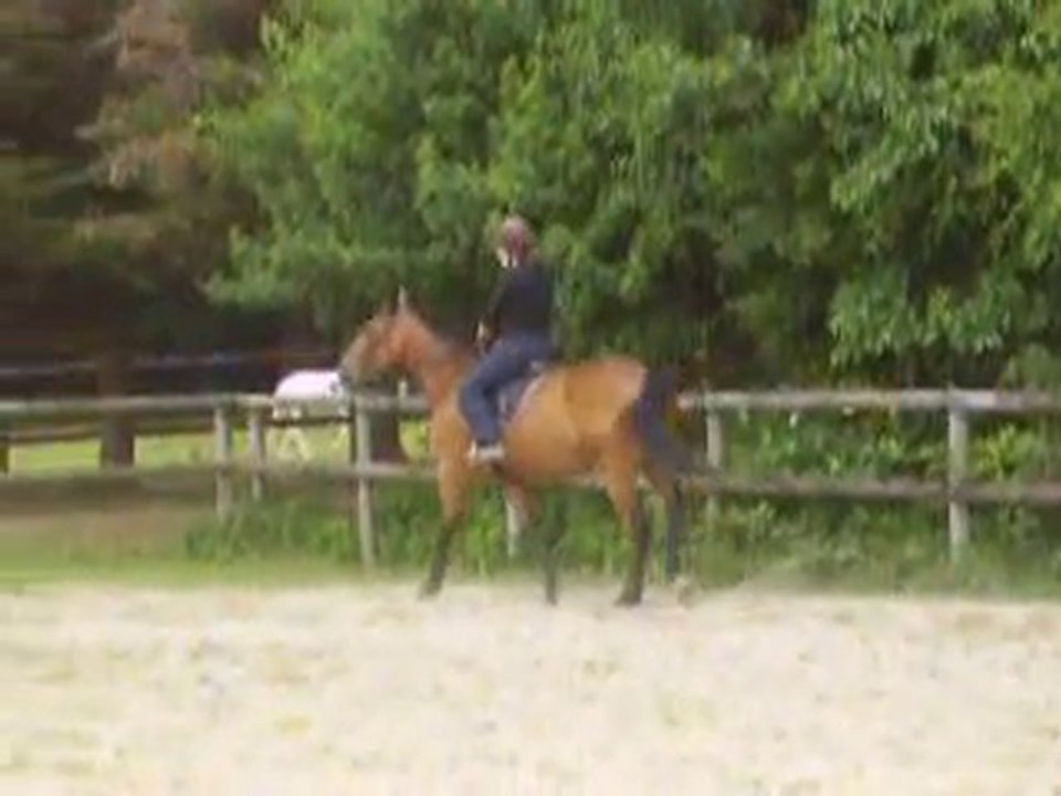 Maeva et Perlani au trot