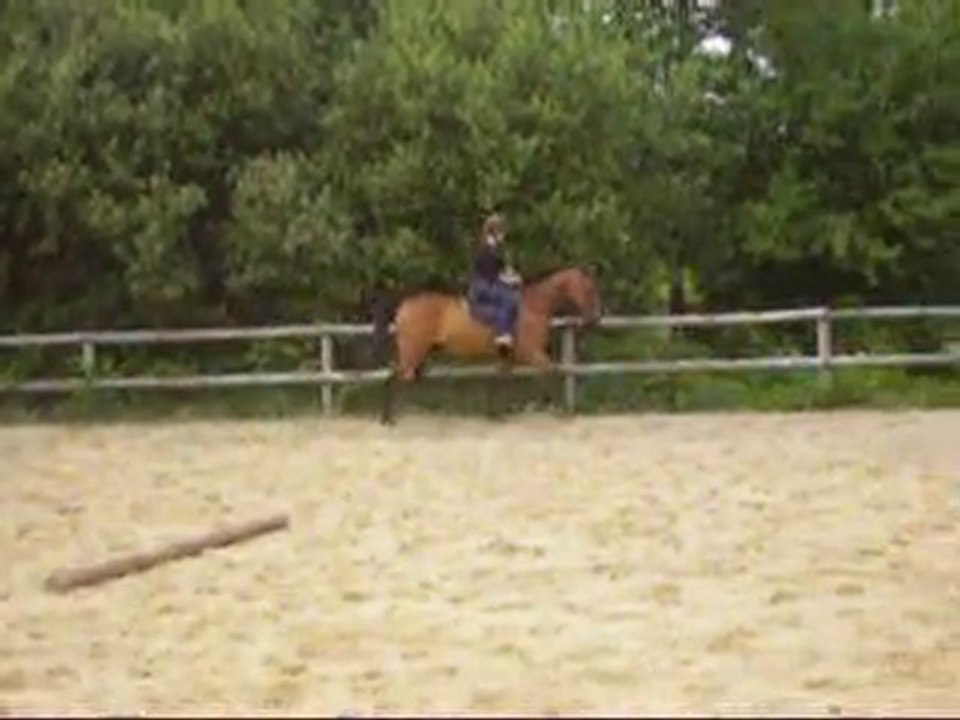 Maeva et Perlani au trot b