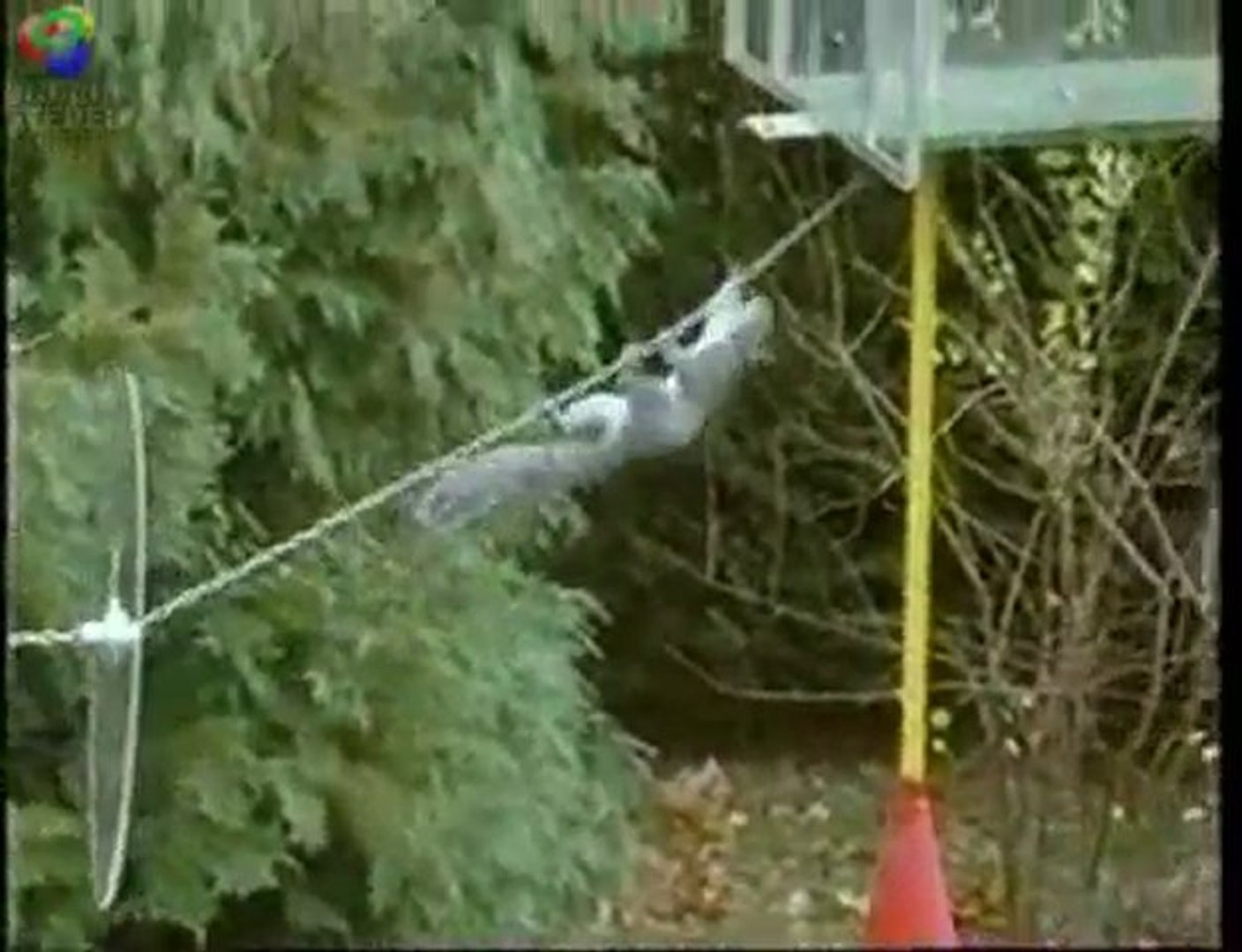 ⁣Mission Impossible Squirrel