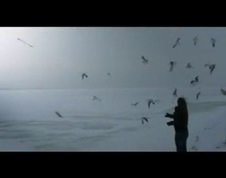 Berîvan Arîn - Gazinc