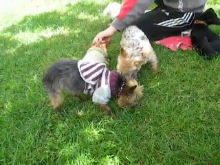 DSCN2643 La CANIFAMILY