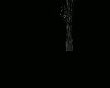 Test tp tronc d'arbre